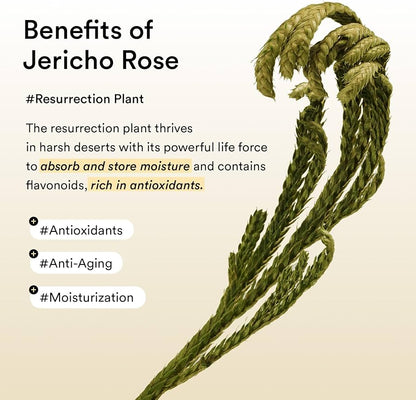 Abib Jericho Rose Collagen & Peptide Under-Eye Patches